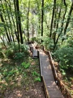 Wood boardwalk running down a wooded slope