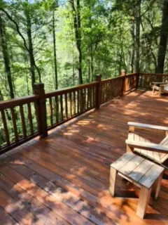 Stained deck with railing among tall trees